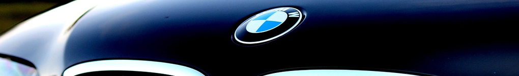 BMW badge on car