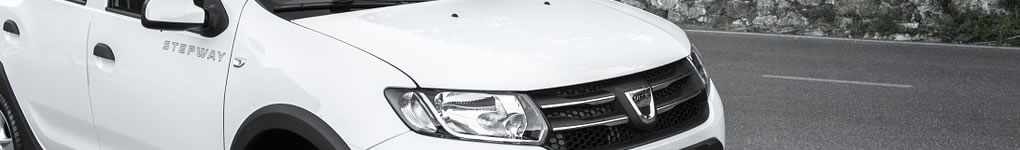 dacia stepway monochrome