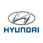 Hyundai Diesel Injectors