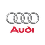 Audi Diesel Injectors